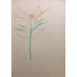 Яковлев В. И. Красный цветок с двумя лепестками