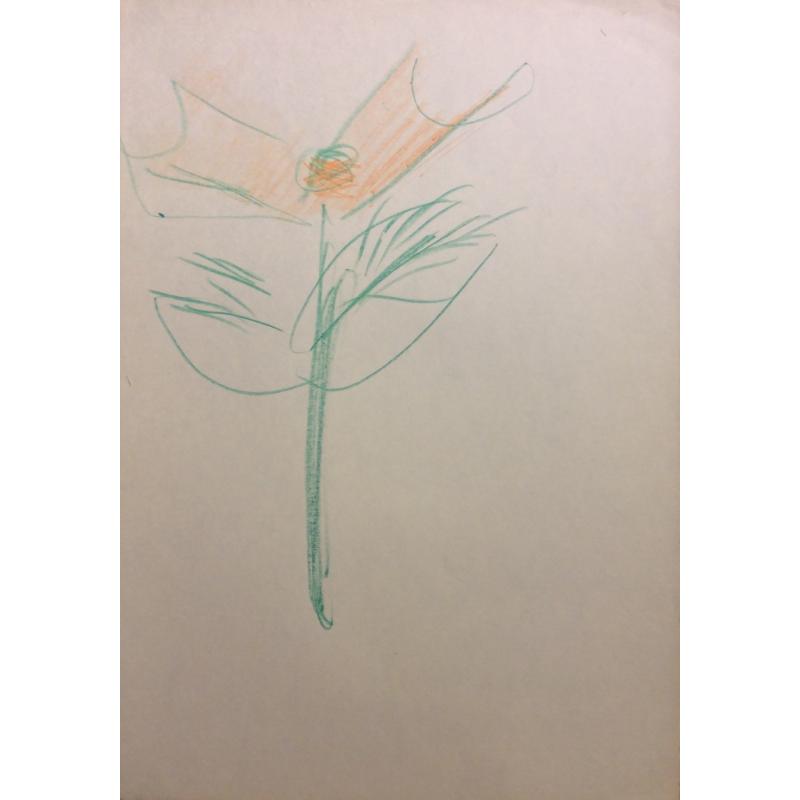 Яковлев В. И. Красный цветок с двумя лепестками