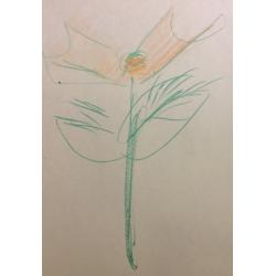 Яковлев В. И. Красный цветок с двумя лепестками