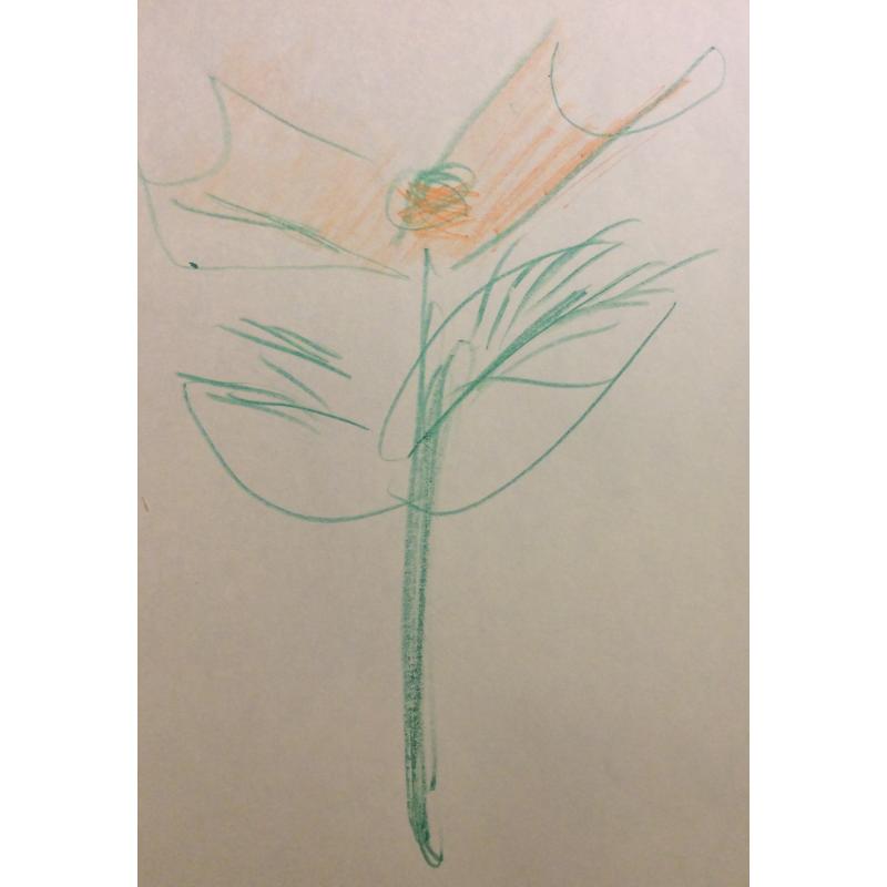 Яковлев В. И. Красный цветок с двумя лепестками