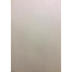 Яковлев В. И. Красный цветок с двумя лепестками