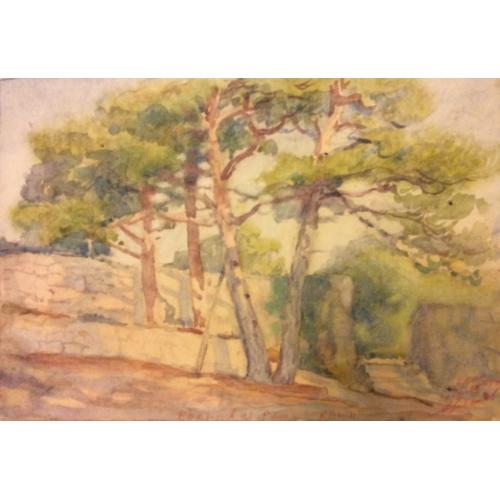 Хряков А.Ф.Сосновая роща