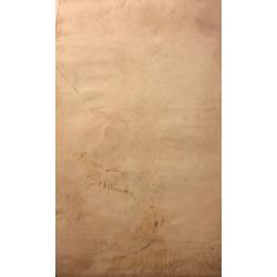 Обручева Н. Н. Женщина в космическом костюме