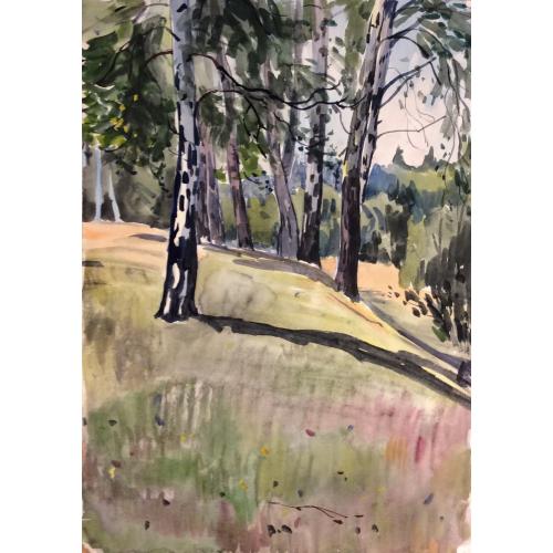 Красковский С. С. Березы