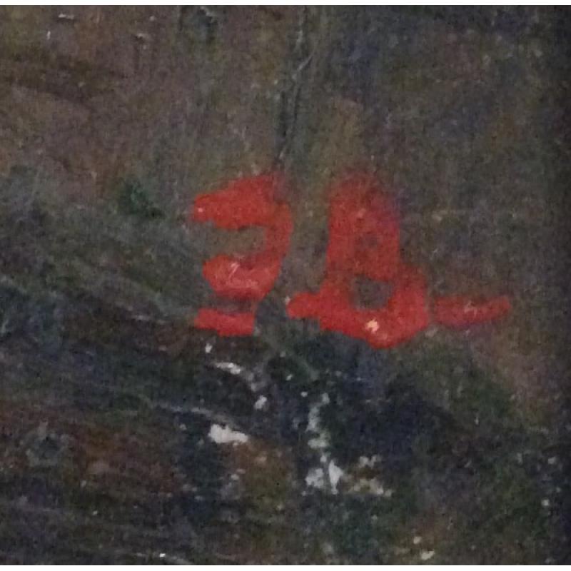 Вейдеманис Э.К. Санкт-Петербург