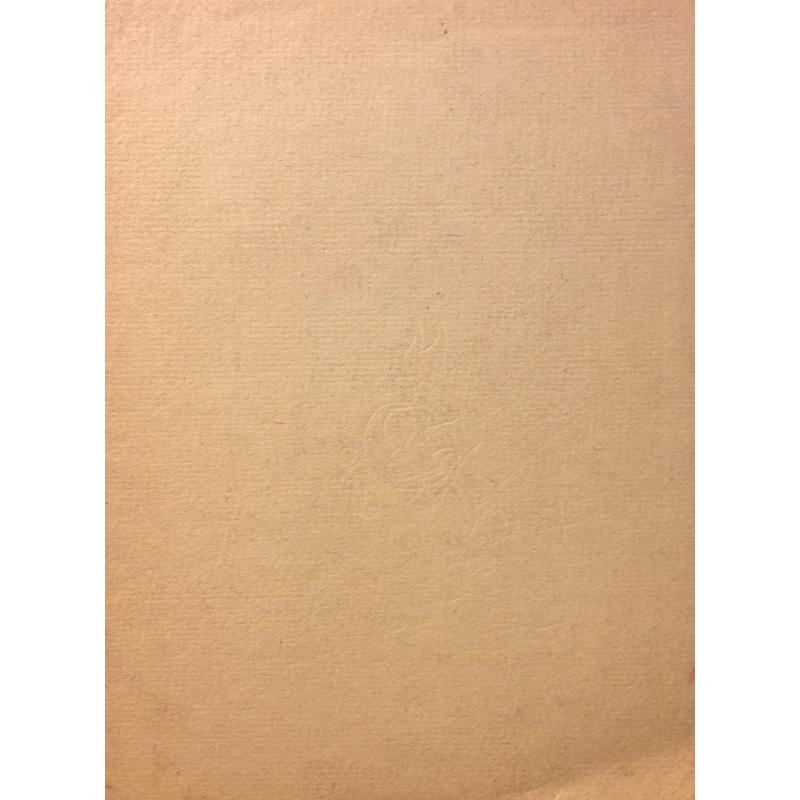 Ситников В. Я. Без названия.