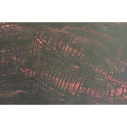 Гусева Т. П. Деревенский пейзаж