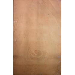 Скопов Ю. М. Человек с синей головой