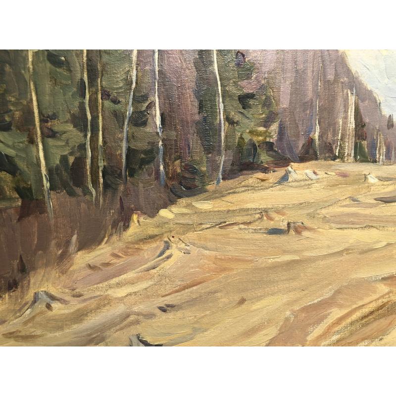 Маторин М. В. Овраг