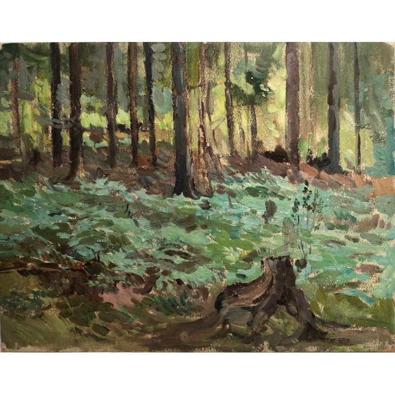 Маторин М. В. В лесу