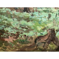 Маторин М. В. В лесу