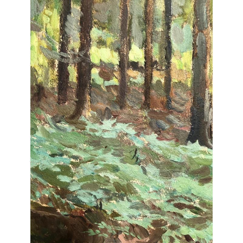 Маторин М. В. В лесу