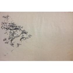 Ванеев П. И. Без названия.