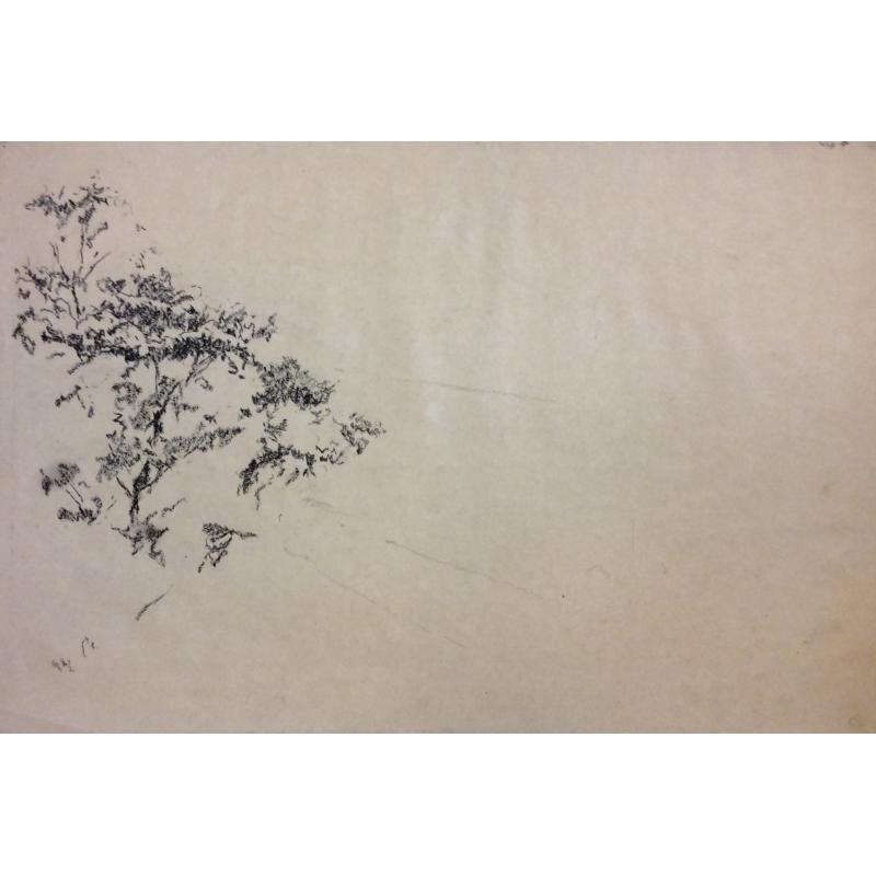 Ванеев П. И. Без названия.