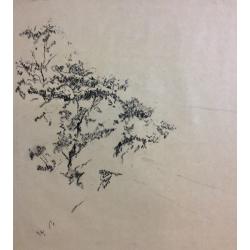 Ванеев П. И. Без названия.