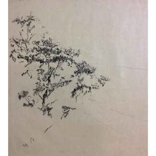 Ванеев П. И. Без названия.