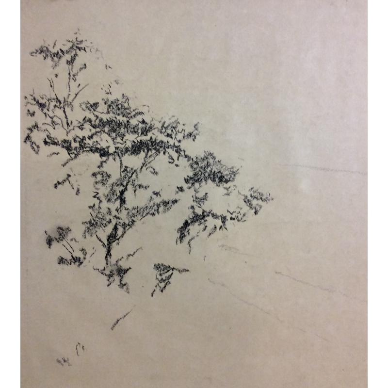 Ванеев П. И. Без названия.