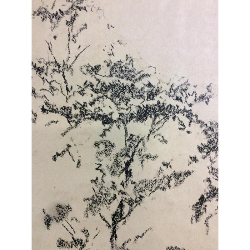 Ванеев П. И. Без названия.