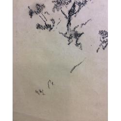 Ванеев П. И. Без названия.