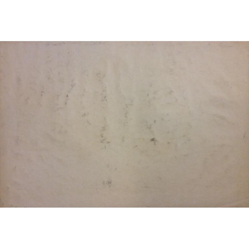 Ванеев П. И. Без названия.