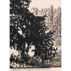 Ванеев П. И. Шушенское. Дом-музей В. И. Ленина. Река Шушь
