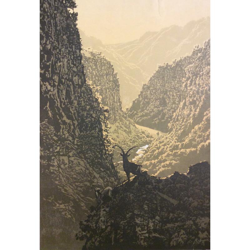 Ванеев П. И. Долина Нарзанов
