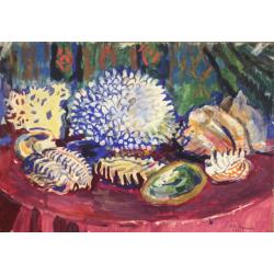 Зернова Е.С. Халиотис, тридакна и другие раковины