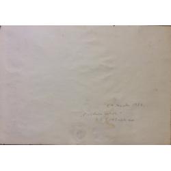 Зернова Е.С. Розовые цветы