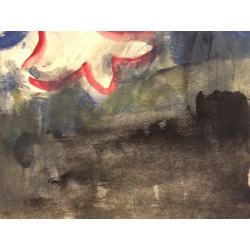 Зернова Е.С. Розовые цветы