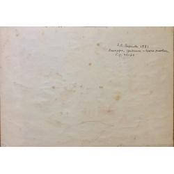 Зернова Е.С. Халиотис, тридакна и другие раковины