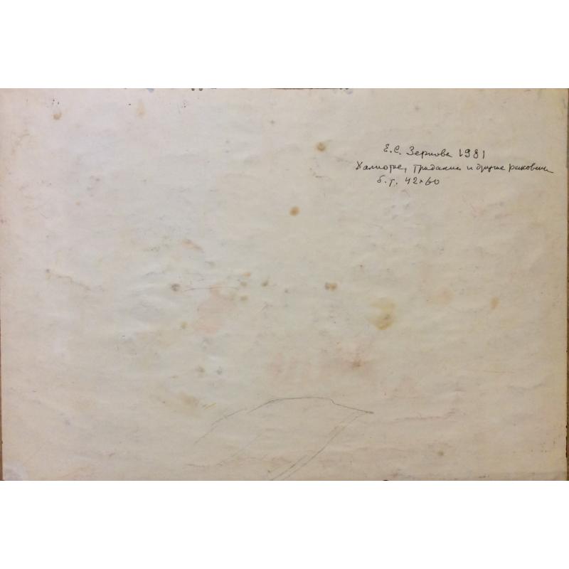 Зернова Е.С. Халиотис, тридакна и другие раковины