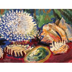 Зернова Е.С. Халиотис, тридакна и другие раковины