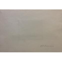 Костенко К.Е. Прибой