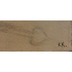 Костенко  К.Е. Спортивный праздник на озере Селигер