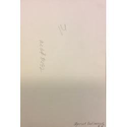 Неизвестный фотограф Кижи