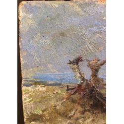 Ситников В. Я. Берег моря