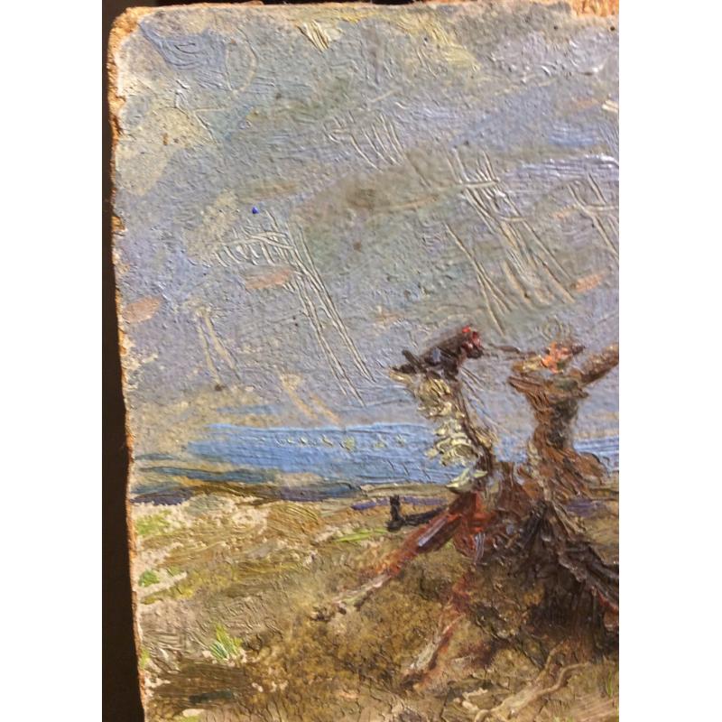 Ситников В. Я. Берег моря