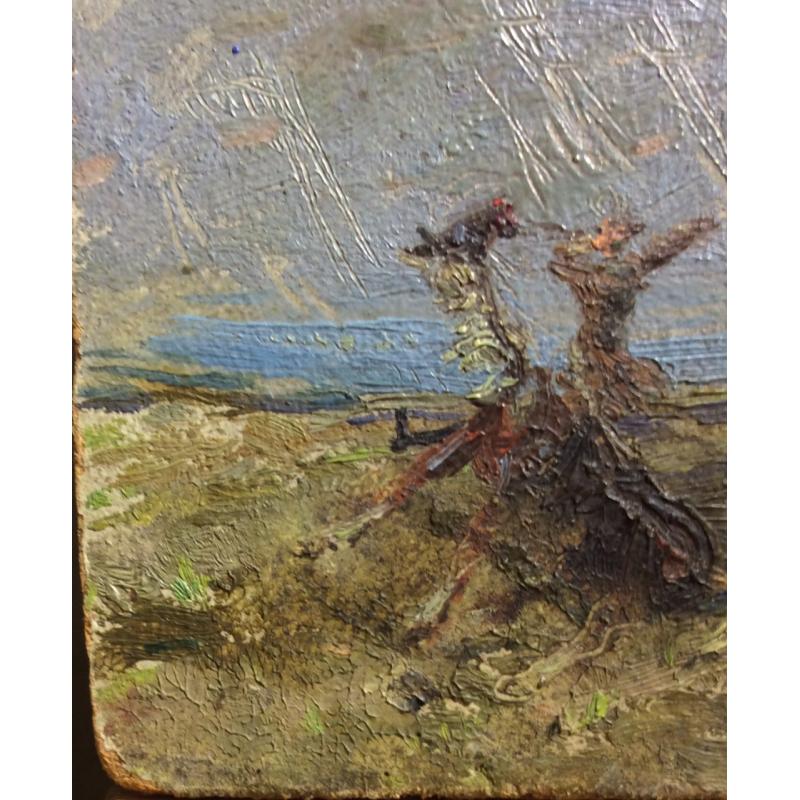 Ситников В. Я. Берег моря