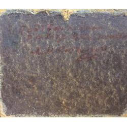 Ситников В. Я. Берег моря