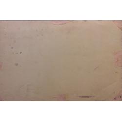 Мешков Е.А. Паром