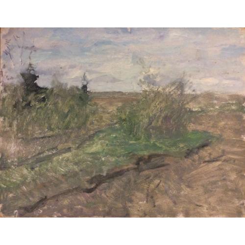 Бялыницкий-Бируля В.К. Ранняя весна