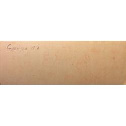 Саркисян П. А. Иллюстрация к мультфильму Горячий камень