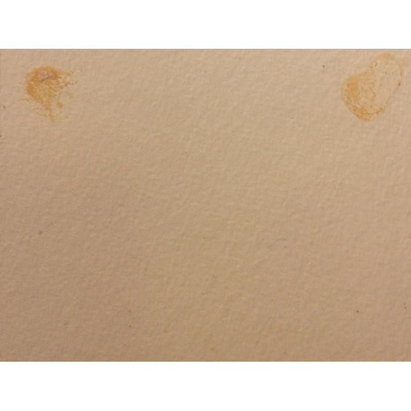 Боголюбова О. А. Виды Петербурга. Иллюстрация к мультфильму Музыка революции