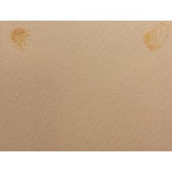 Боголюбова О. А. Виды Петербурга. Иллюстрация к мультфильму Музыка революции