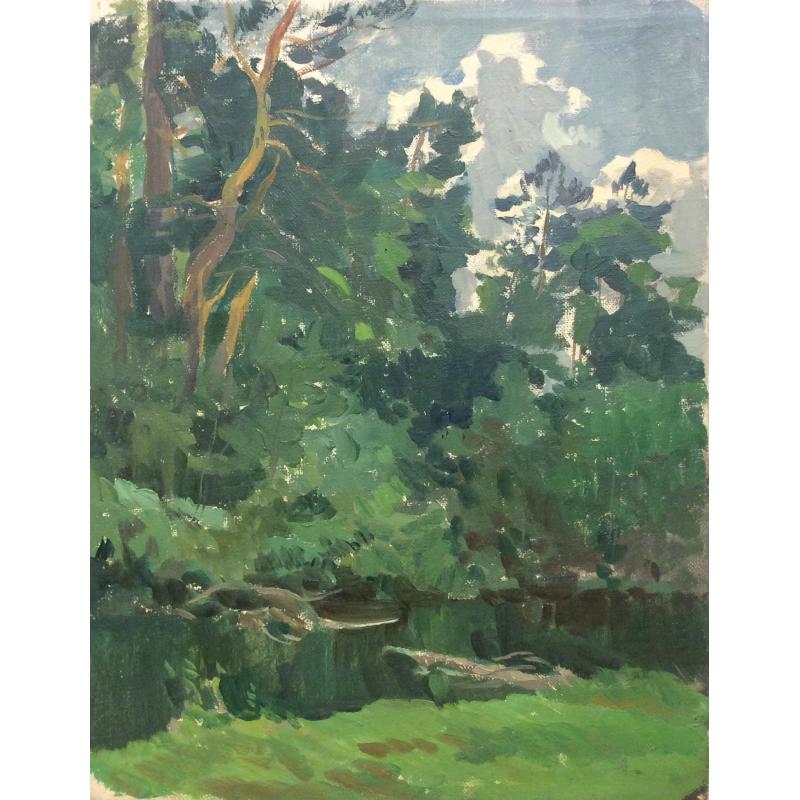 Маторин М. В. Ручей в лесу