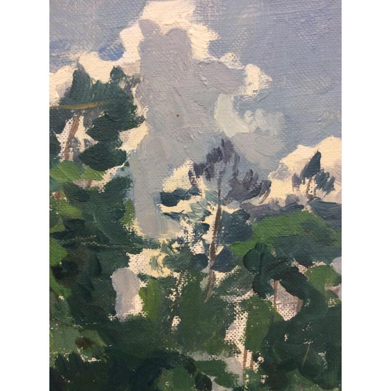 Маторин М. В. Ручей в лесу