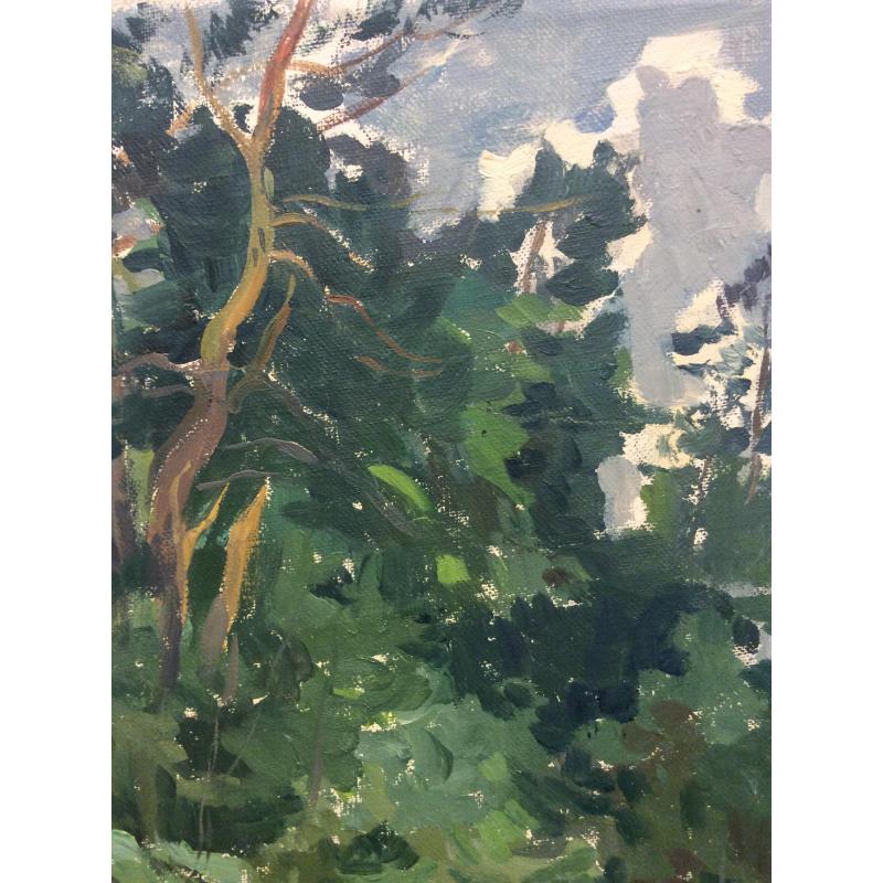 Маторин М. В. Ручей в лесу