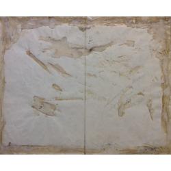 Хряков А.Ф. Алупка. Морские крабы