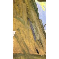 Титов А. М. Девушка загорает около палатки