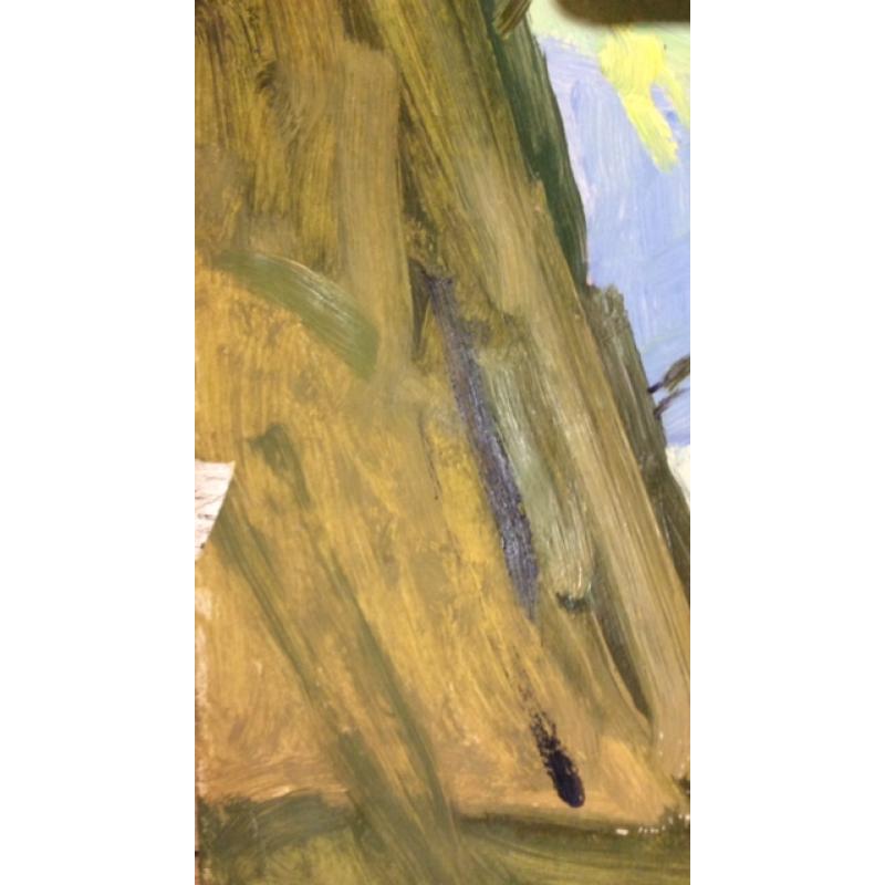 Титов А. М. Девушка загорает около палатки